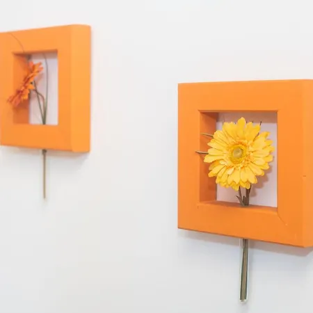 Apartament And Zoran