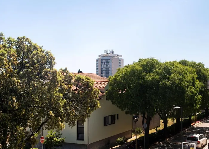 Apartman And Zoran Vodice